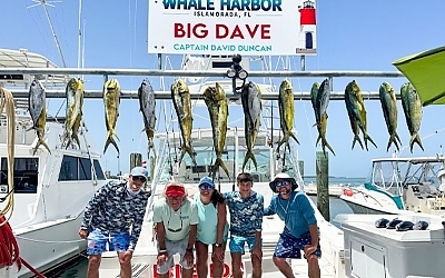 Guide to Catching Various Fish Species in Islamorada